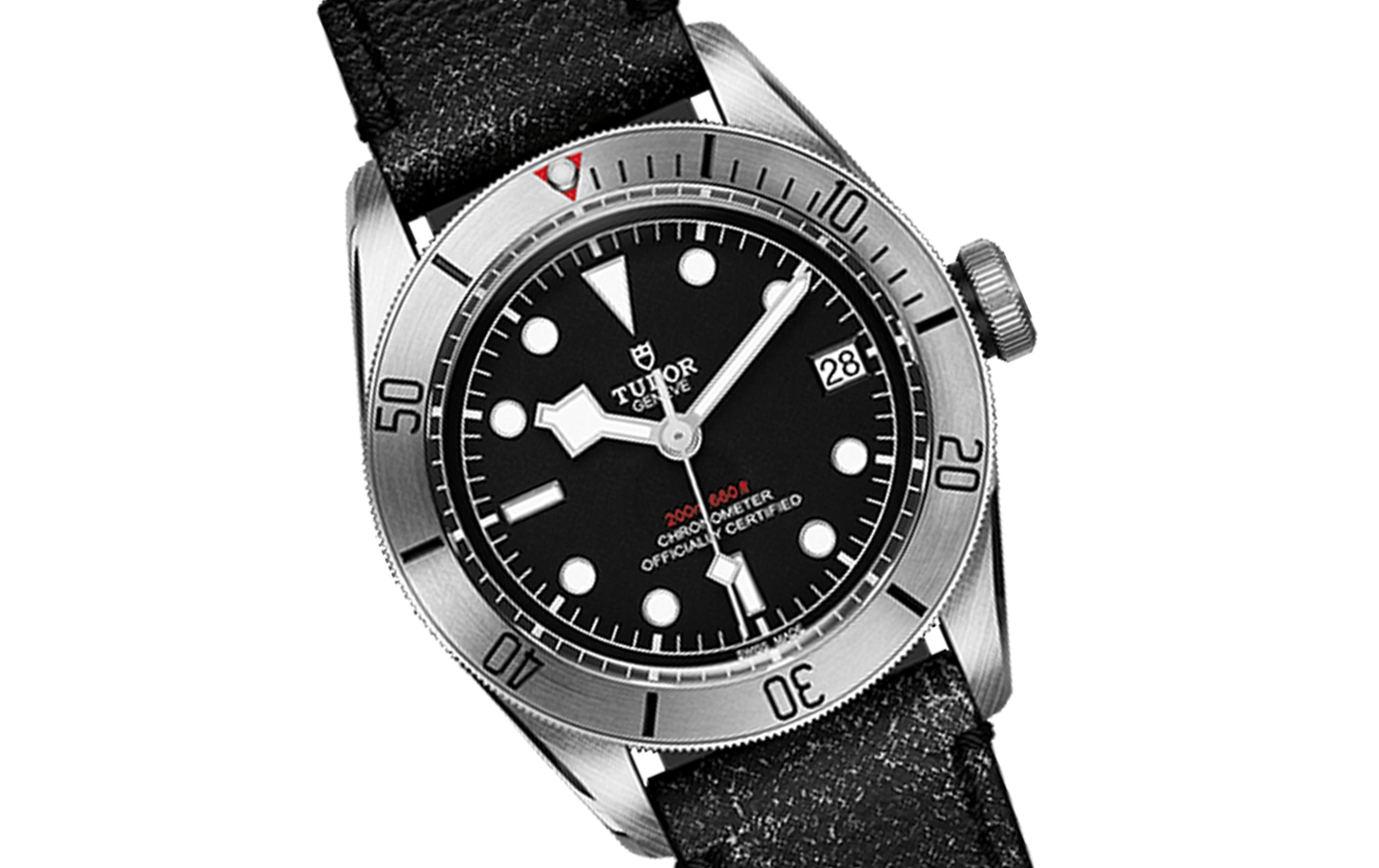 Tudor Black Bay M79730-0003 WatchProject 21 Shop 
